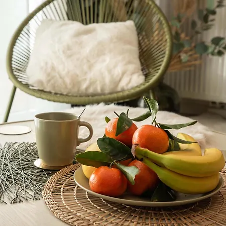 Le Petit Anjou, Cocon Chaleureux Et Apaisant Appartement Angers