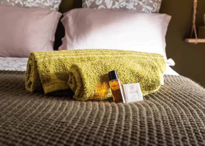 Le Petit Anjou, Cocon Chaleureux Et Apaisant Angers